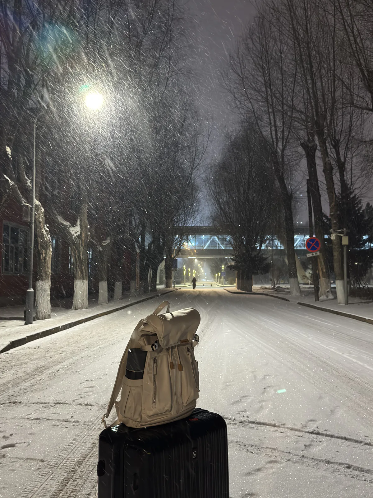 A snowy Harbin street at night, where a streetlamp lights a suitcase covered in snow